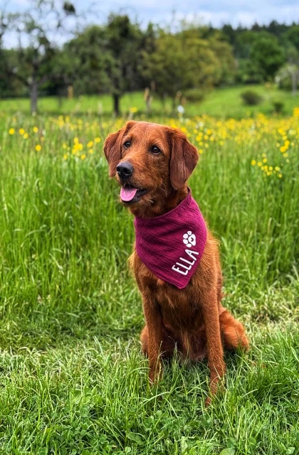 Ella
